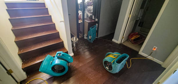 Best Sewage cleanup and water damage restoration  in Washington Court House, OH