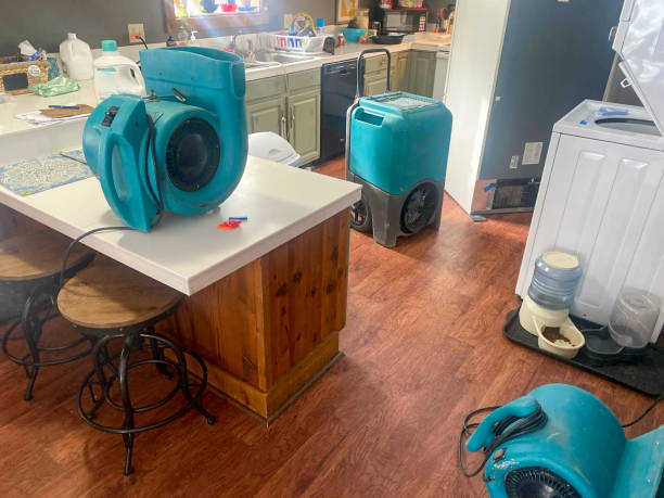 Professional Water damage restoration in Washington Court House, OH