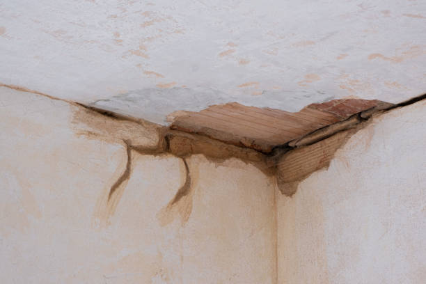 Best Commercial water damage restoration  in Washington Court House, OH