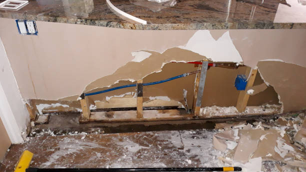 Best Professional water damage repair  in Washington Court House, OH