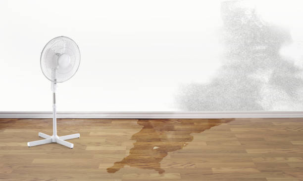 Professional Water damage restoration in Washington Court House, OH