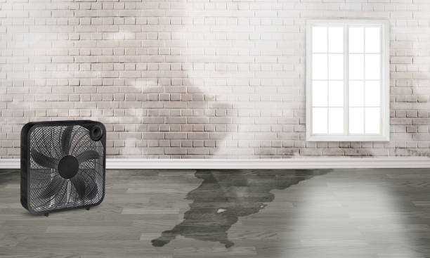 Best Sewage cleanup and water damage restoration  in Washington Court House, OH