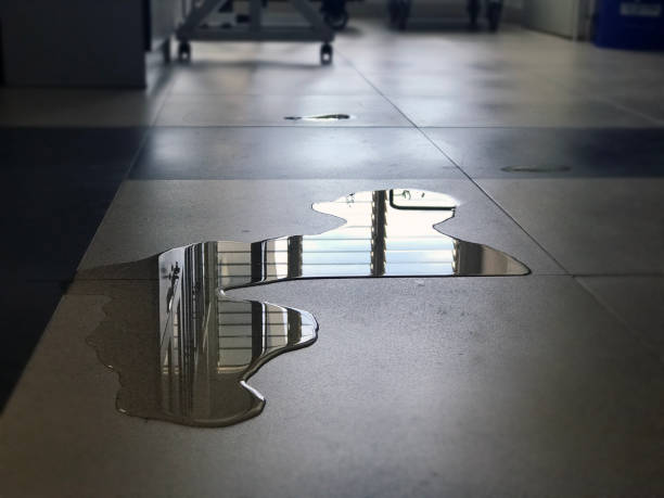 Best Water damage contractors near me  in Washington Court House, OH