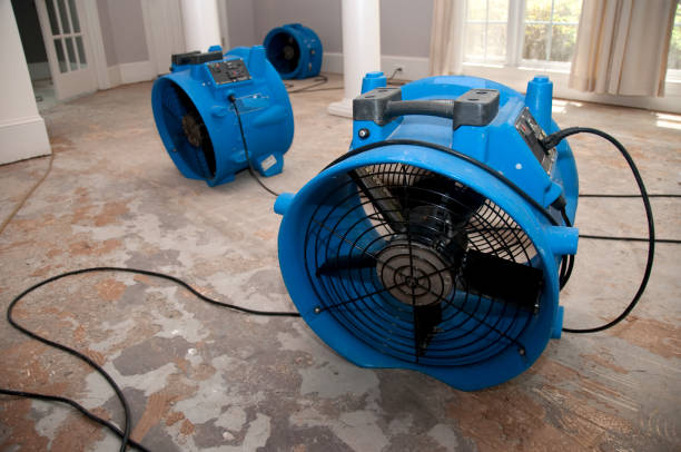 Best Flood restoration services  in Washington Court House, OH