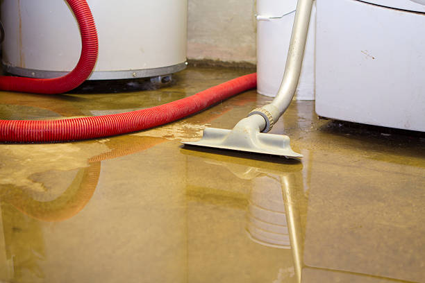 Best Fire Damage Restoration  in Washington Court House, OH