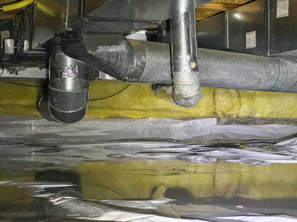 Best Water damage cleanup near me  in Washington Court House, OH