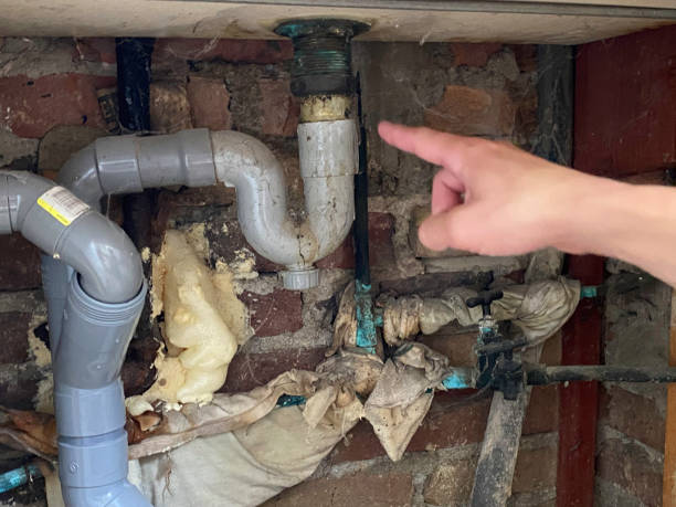 Best Carpet water damage restoration  in Washington Court House, OH