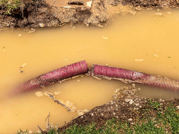 Best Water damage restoration near me  in Washington Court House, OH
