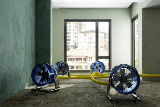 Best Water damage restoration near me  in Washington Court House, OH