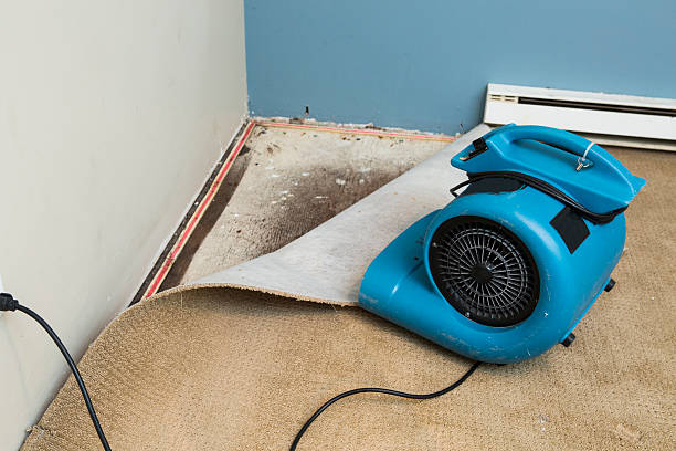  Washington Court House, OH Water damage restoration Pros